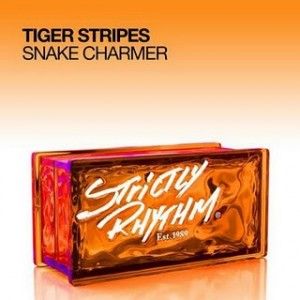 Tiger Stripes - Snake Charmer